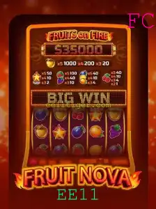 Descubra o Fascinante Mundo de FruitNova e as suas Inovadoras Regras de Jogo